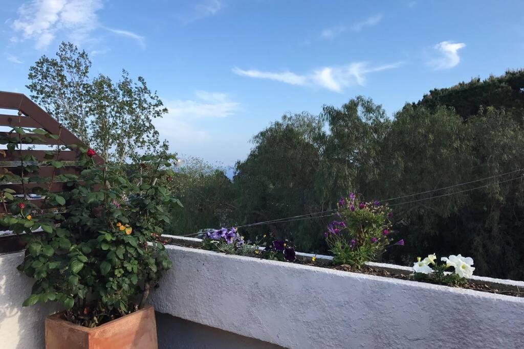 Villa Casita Blanca Con Fibra Optica Y Piscina Cominutaria Tossa de Mar Exterior foto