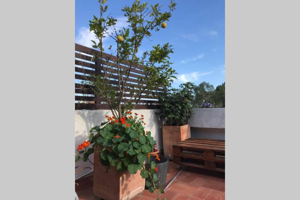 Villa Casita Blanca Con Fibra Optica Y Piscina Cominutaria Tossa de Mar Exterior foto